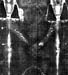 4X5FRBW1 Torso